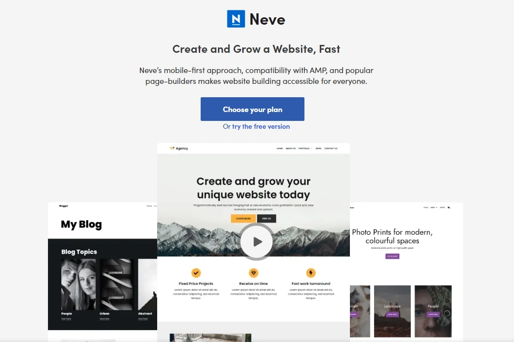 Best WordPress Themes-Neve